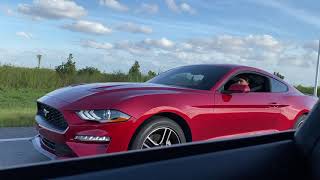 2020 Mustang Ecoboost vs 2017 Mustang GT both stock [upl. by Assiluj]