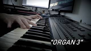 GeneralMusic GEM WS2 Workstation Keyboard  Sound Demo [upl. by Niela]