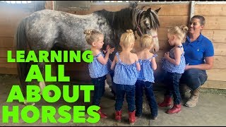 QUADRUPLET FIRST HORSEBACK RIDING LESSON [upl. by Midge]