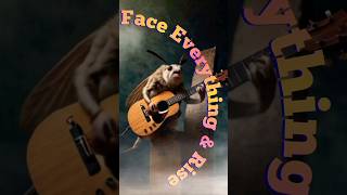 Indian Meal Moths Rock to Pupa Roach Face Everything amp Rise  Epic Bug Muzak Cover [upl. by Aufa]