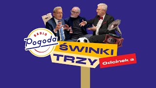 Świnki Trzy rozprawiają o teatrze Te perypetie bawią do łez [upl. by Creedon687]