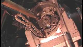 Yamaha Raptor 700R Cam Installation Part 2 [upl. by Stew367]