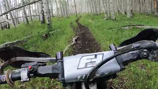 Uncompahgre National Forest Dirt Bike Clear Creek Trail 516 4K [upl. by Ahcsatan812]