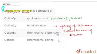 Synaptonemal complex is a structure of [upl. by Elatsyrk78]