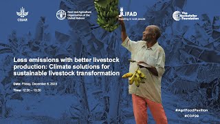 Less emissions with better livestock production Solutions for a sustainable transformation [upl. by Runstadler]