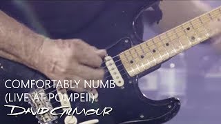 David Gilmour  Comfortably Numb Live At Pompeii [upl. by Zampardi]