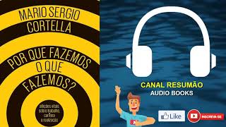 █▬█ █ ▀█▀  POR QUE FAZEMOS O QUE FAZEMOS  AUDIOBOOK  RESUMO DO LIVRO  AudioMicroBook [upl. by Roxana]