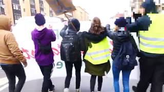 Impressionen Klimastreik FridaysForFuture  Magdeburg 1532019 [upl. by Eidahs519]