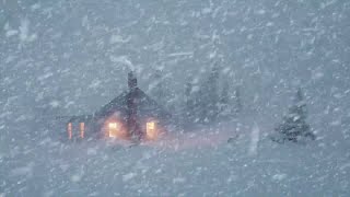 Tief Und Fest Schlafen In Einem Alten Holzhaus  Die Eisige Luft Eines Schneesturms [upl. by Asyl205]