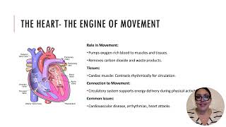 The Movement System Anatomy and Function [upl. by Ylrebmek]