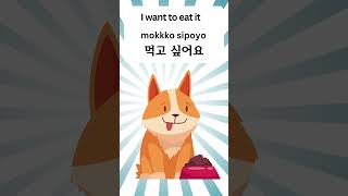 5 Essential KOREAN Phrases for Daily Expressions koreanlanguagelearning [upl. by Agnimod]