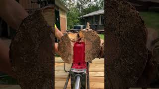 Splitting Wood With Harbor Freight 300 Log Splitter [upl. by Ainaznat]