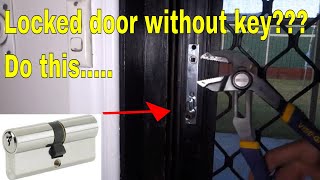 open locked door without key  replace euro cylinder lock [upl. by Bow]