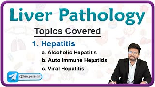 Liver Pathology Alcoholic hepatitis Autoimmune hapatitis and Viral hepatitis🔬🩺 [upl. by Osgood839]