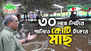 বায়োফ্লক পদ্ধতিতে ৩০ লাখ লিটার পানিতে কোটি টাকার মাছ  Biofloc  Shykh Seraj  Channel i [upl. by Zaid]