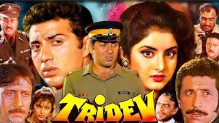 Tridev Full Movie  Sunny Deol  Jackie Shroff  Madhuri Dixit  Naseeruddin S  HD Facts amp Review [upl. by Uri]