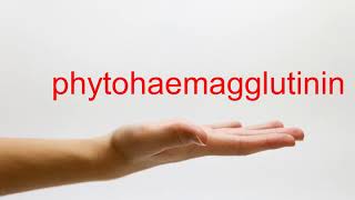 How to Pronounce phytohaemagglutinin  American English [upl. by Mackie]