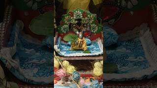 Tulsi in Kanhas lil hands😘🙏💚🤩🥰🧿 sahilsakhuja love krishna laddugopal shorts reels viralvideo [upl. by Melborn]