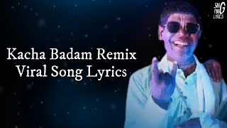 Badam Badam Dada Kacha Badam LyricsBhuban Badyakar Amar Kache Ache Sudhu Kacha Badam Remix Lyrics [upl. by Leodora]