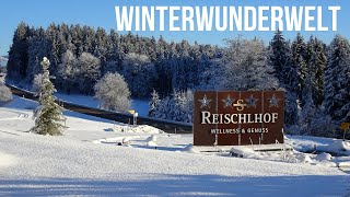 🌳⛄️🎄Winterwunderwelt rund um den Reischlhof im Bayerischen Wald [upl. by Gunnar]