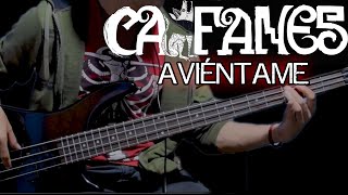 Aviéntame  Caifanes Cover de bajo con tablatura Bass cover  TAB [upl. by Montfort]