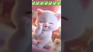 Kaliyo jaisa husn jo paya song cat 😺😺 [upl. by Ierna509]