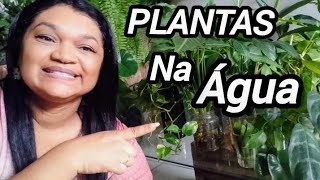 10 PLANTAS para CULTIVAR na ÁGUA [upl. by Harihs]