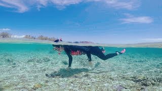 Gili Snorkeling Tour 길리 스노클링 투어 [upl. by O'Reilly]