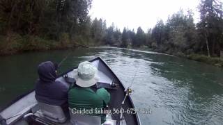 Steelhead Highlights 3 2016 [upl. by Ashlie41]