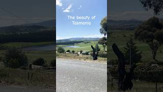 The beauty of Tasmaniayoutube hobart travel australianisland australia [upl. by Idrahs]