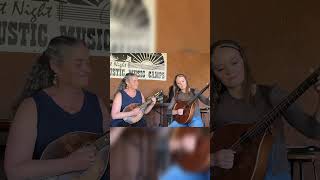 Eleanor Plunkett OCarolan feat Marla Fibish on mandolin irishbouzouki irishtraditionalmusic [upl. by Ricardama]