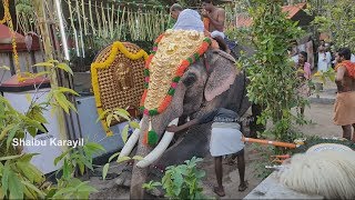 ഇത് ജയശ്രീയുടെ ആന  ചാത്തപ്പുരം ബാബു  CHATHAPURAM BABU ELEPHANT [upl. by Prouty550]