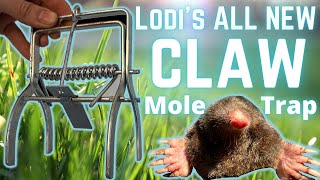 How to Set Talpex style Mole Traps  SUCCESS EVERY TIME Road test of LODIs mole CLAW TRAP [upl. by Nospmoht262]