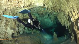 Dreamgate Cenote  One of the Most Beautiful Cavern Dives in Tulum Mexico [upl. by Ellehcirt]