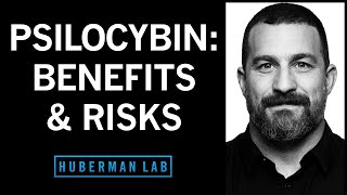 How Psilocybin Can Rewire Our Brain Its Therapeutic Benefits amp Its Risks  Huberman Lab Podcast [upl. by Elleirbag]