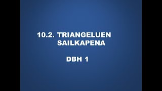 11002 Triangeluen sailkapena [upl. by Garfinkel]