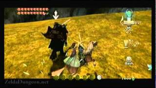 Legend of Zelda Twilight Princess Walkthrough 22 79 quotHyrule Castle Horseback Battlequot [upl. by Jeremiah]