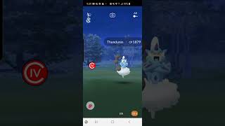 Pokemon Go 2020 Thundurus Raid [upl. by Alien]