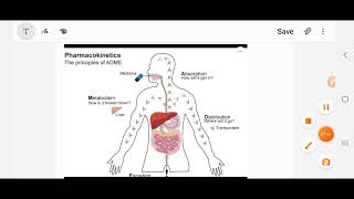 Pharmacokinetic  ADME short Definition [upl. by Liza]