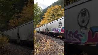 GRAIN TRAIN THRU YELLOW TREES shorts [upl. by Nodnorb393]