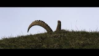 Valnontey  Parco Nazionale del Gran Paradiso  4k cinematic  PANASONIC VX1 [upl. by Burke]