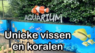 Ouwehands Dierenpark Aquarium 2024 [upl. by Anreval]