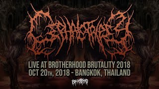 CEPHALOTRIPSY quotLIVE AT BROTHERHOOD BRUTALITY THAILAND 2018quot [upl. by Alrad68]