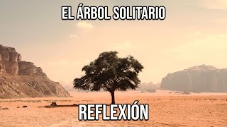 REFLEXIÓN EL ÁRBOL SOLITARIO Reflexiones Diarias Cortas de Vida del Alma Mejor Persona De Dios [upl. by Uy]