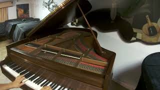 CHICKERING amp SONS 14 grand piano [upl. by Zolnay]