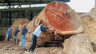 Kayu trembesi bengkok diterjang angin dari tanah toba  digergaji jadi papan solid I Sawmill [upl. by Ruckman22]