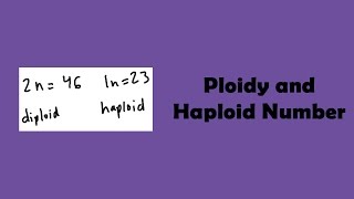 Ploidy and Haploid Number [upl. by Atsiuqal180]