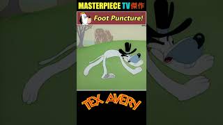 Foot Puncture of Truant Officer by Screwy Squirrel 📌  Tex Avery ᴴᴰ [upl. by Pokorny359]