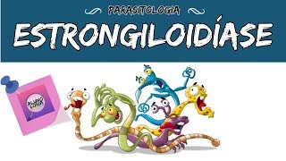 ESTRONGILOIDÍASE  PARASITOLOGIA 14 [upl. by Cobby]