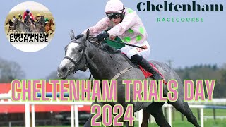 Cheltenham Trials Day Meeting Preview  Episode 13  Predictions  Tips  Selections [upl. by Sekoorb194]